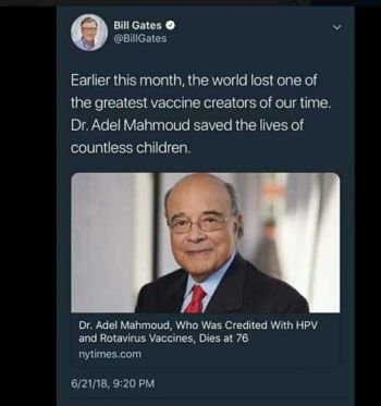 adel mahmod2